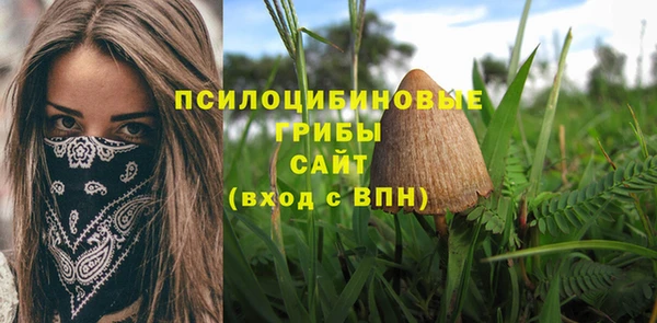 прущий лед Алзамай