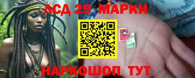 гидра Можга