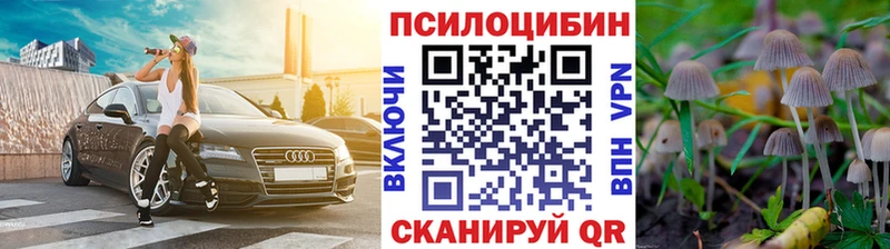 Галлюциногенные грибы MAGIC MUSHROOMS  наркотики  Заинск 