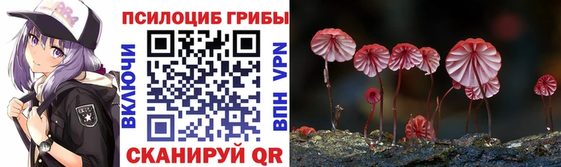 Галлюциногенные грибы мицелий Заинск