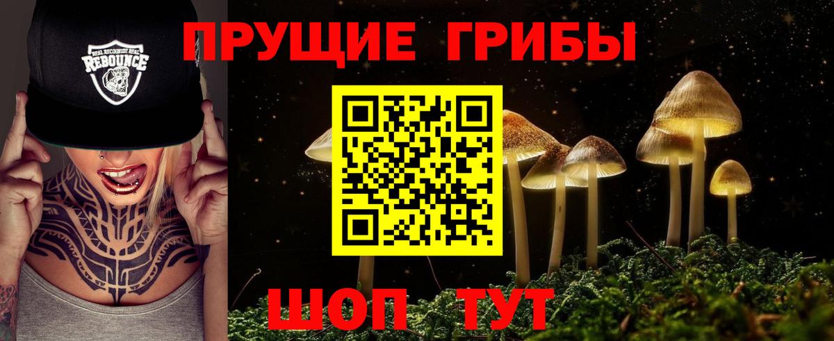 Заинск  Псилоцибиновые грибы Psilocybine cubensis  Вход с VPN 
